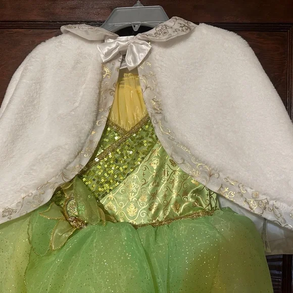 Disney | Costumes | Disney Brand Princess Tiana Princess And The Frog  Costume Size Ml | Poshmark